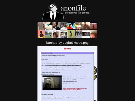 anonsharee|Anonfile